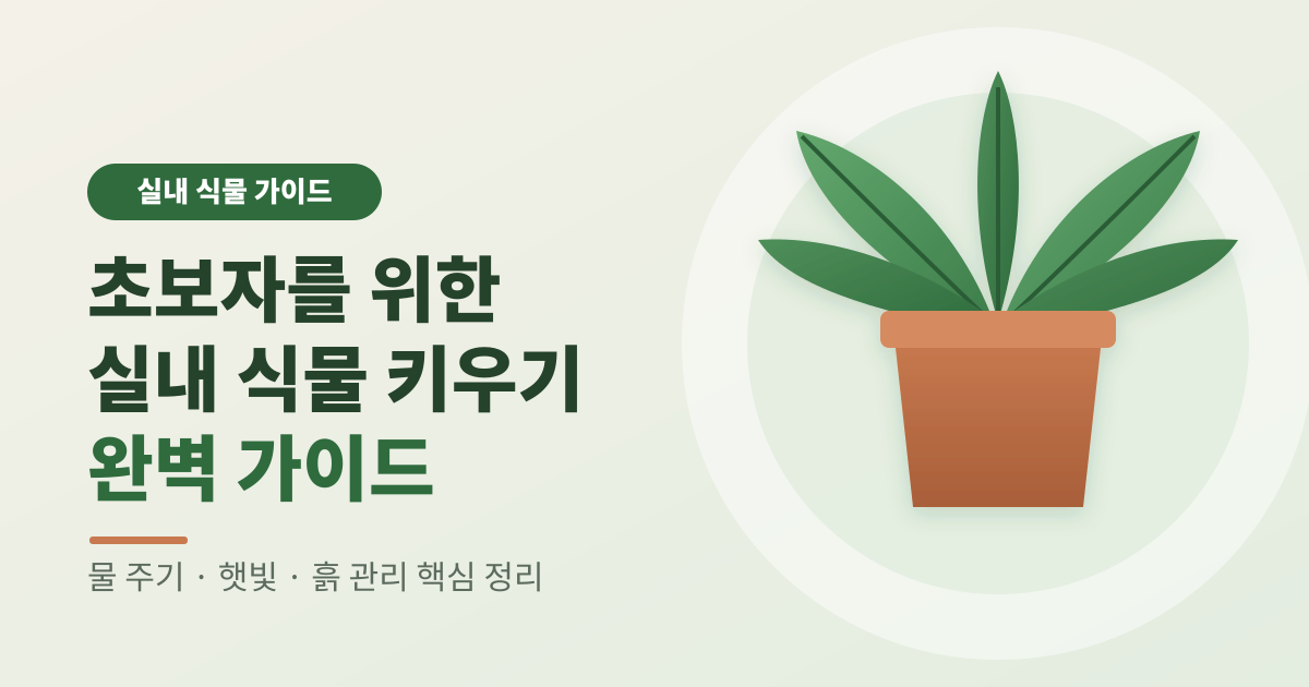 초보자를 위한 실내 식물 키우기 썸네일
