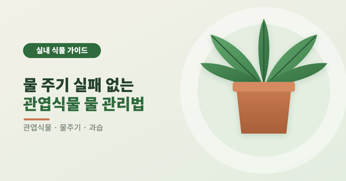 물 주기 실패 없는 관엽식물 물 관리법 썸네일