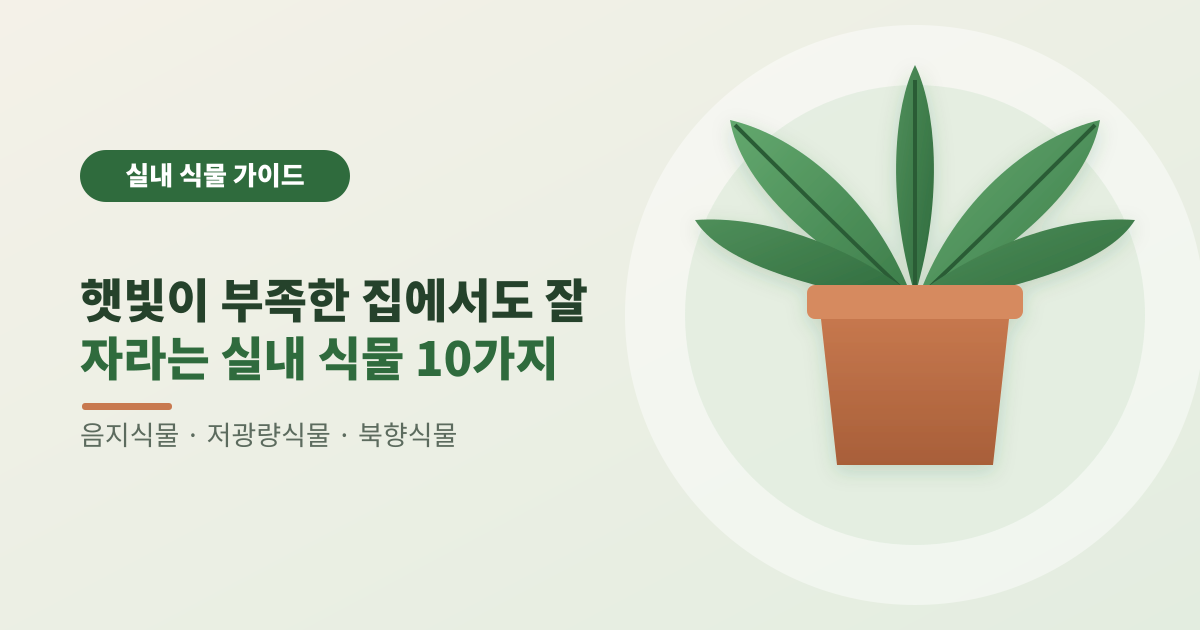 햇빛이 부족한 집에서도 잘 자라는 실내 식물 10가지 썸네일