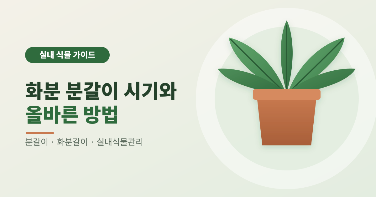 화분 분갈이 시기와 올바른 방법 썸네일