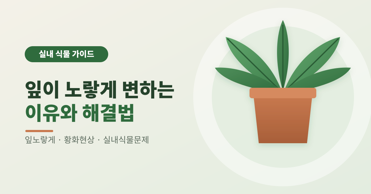 잎이 노랗게 변하는 이유와 해결법 썸네일