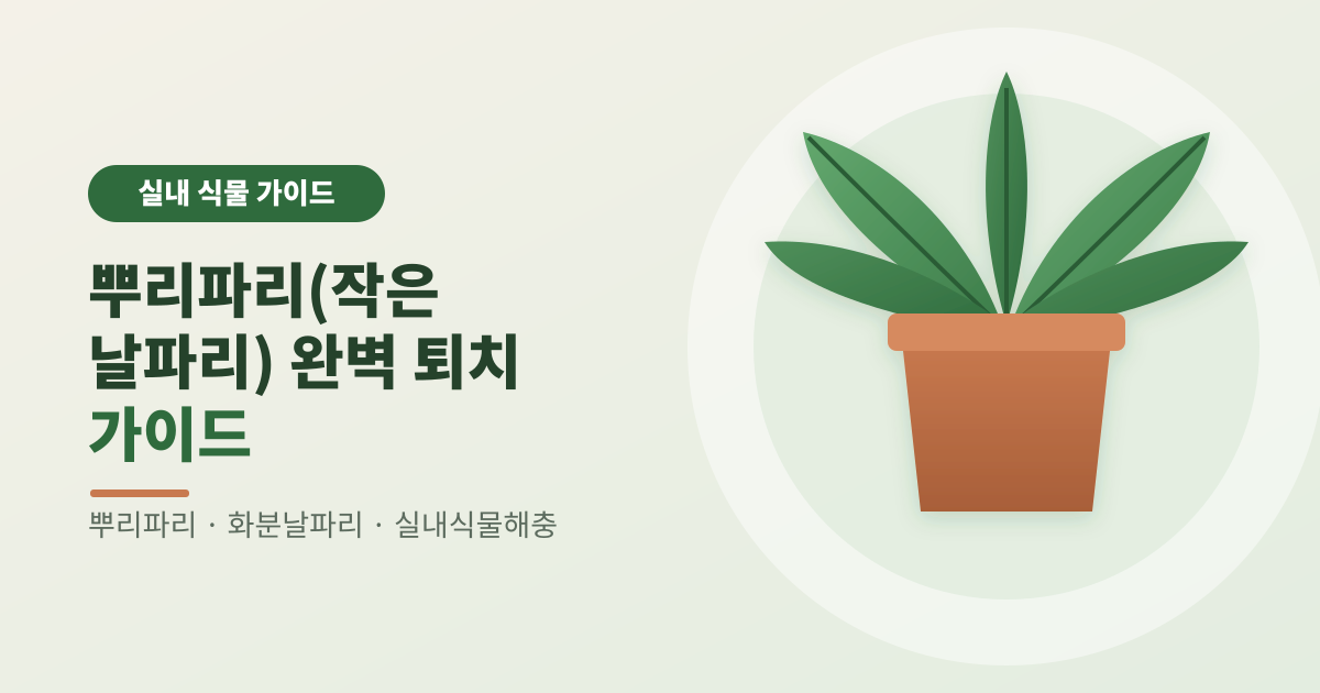 뿌리파리(작은 날파리) 완벽 퇴치 가이드 썸네일