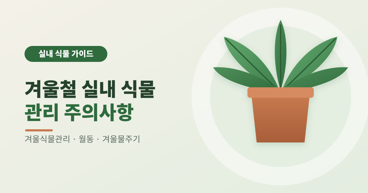 겨울철 실내 식물 관리 주의사항 썸네일