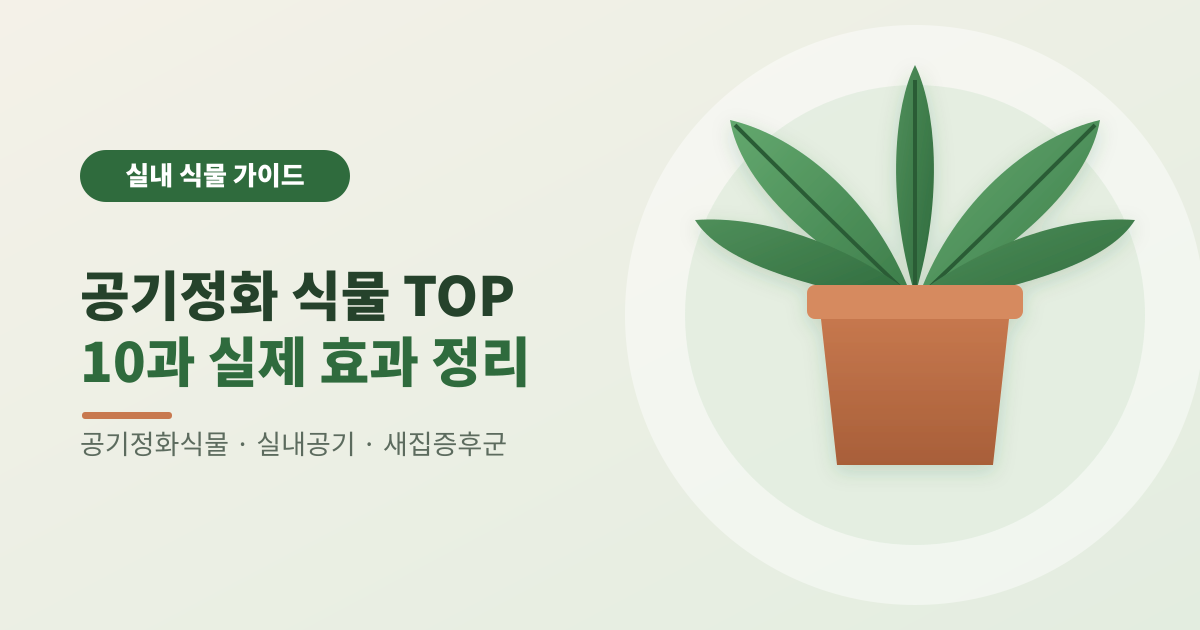 공기정화 식물 TOP 10과 실제 효과 정리 썸네일