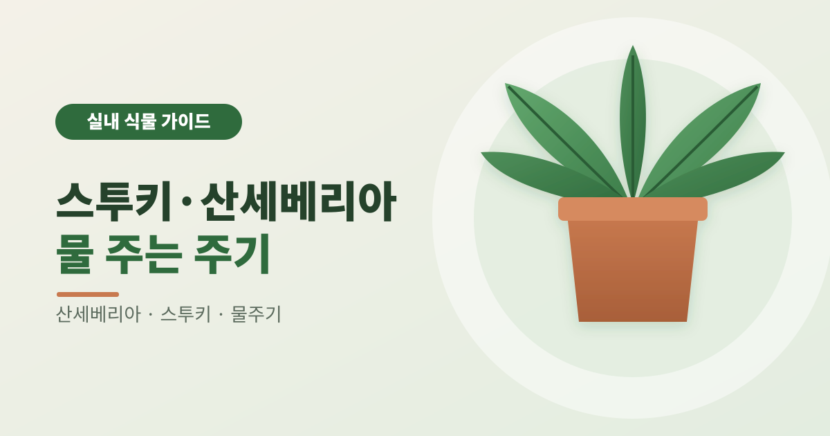 스투키·산세베리아 물 주는 주기 썸네일