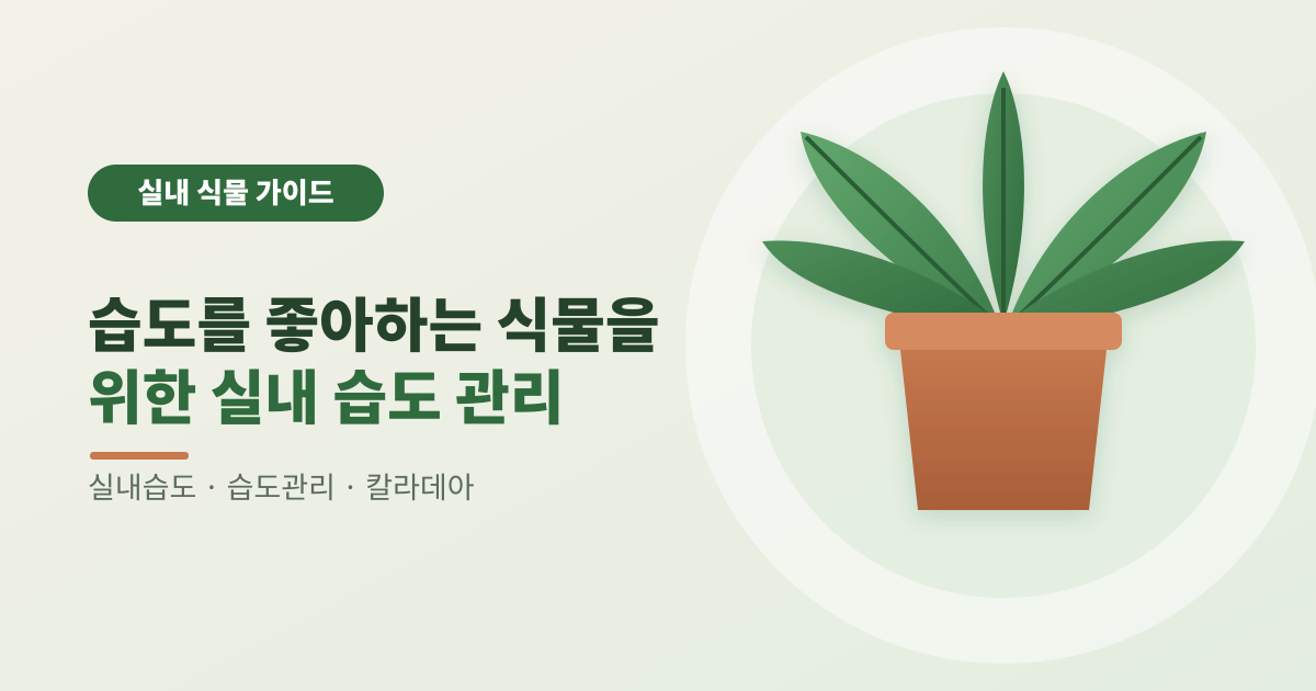 습도를 좋아하는 식물을 위한 실내 습도 관리 썸네일