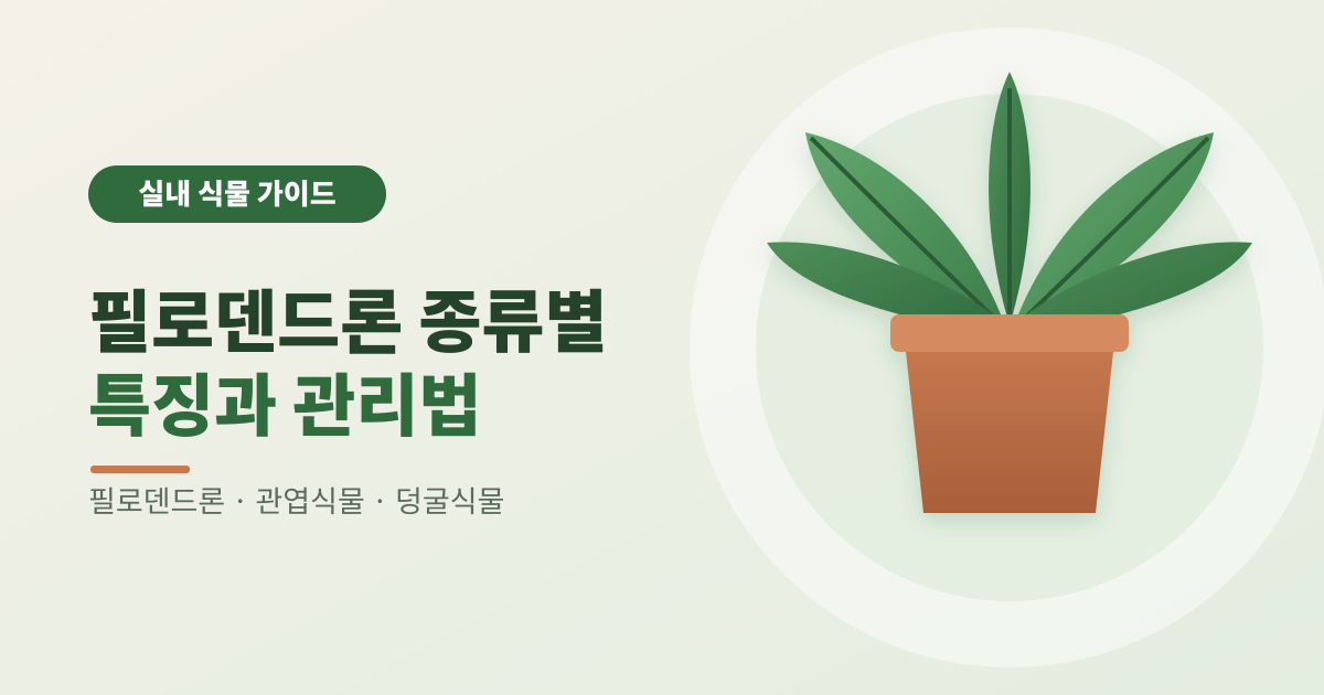 필로덴드론 종류별 특징과 관리법 썸네일