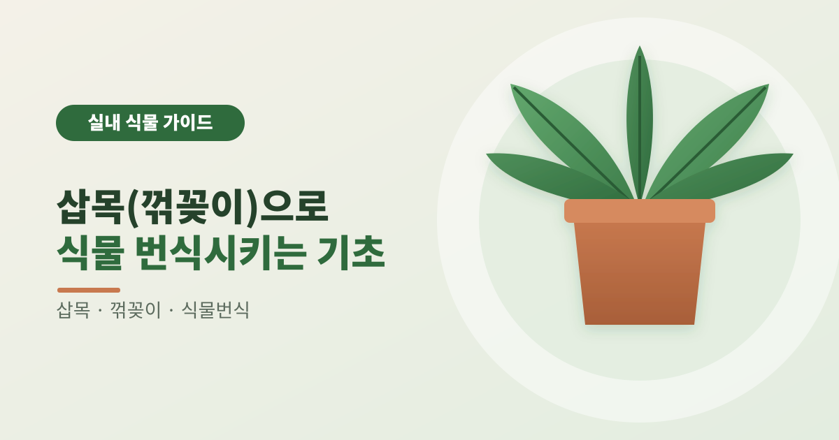 삽목(꺾꽂이)으로 식물 번식시키는 기초 썸네일