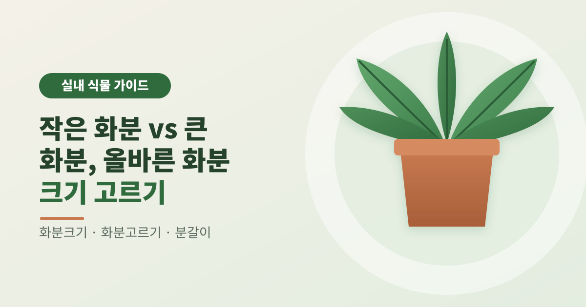 작은 화분 vs 큰 화분, 올바른 화분 크기 고르기 썸네일