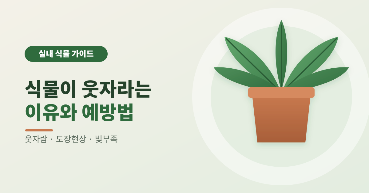 식물이 웃자라는 이유와 예방법 썸네일